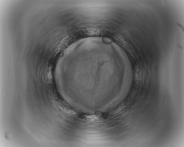 X0000102510516200808291737