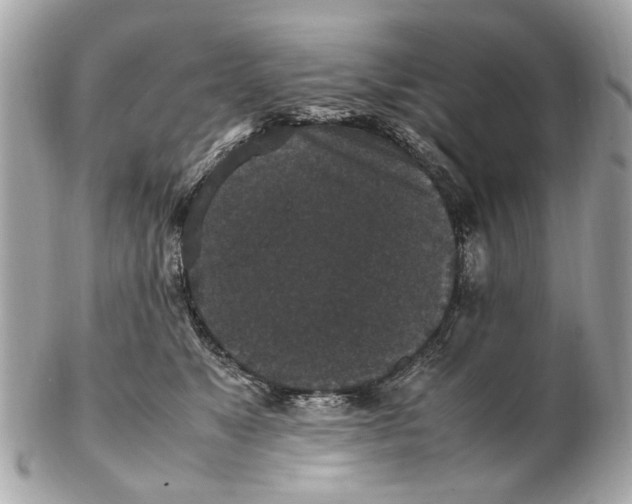 X0000102510517200808291737