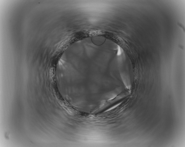 X0000102510519200808291737