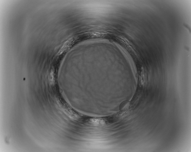 X0000102510520200808291737