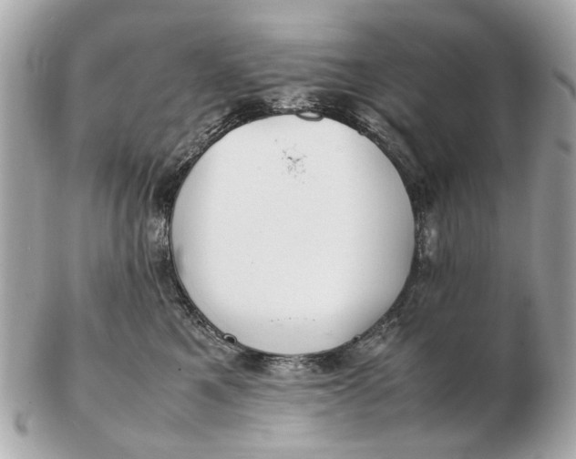 X0000102510521200808291737