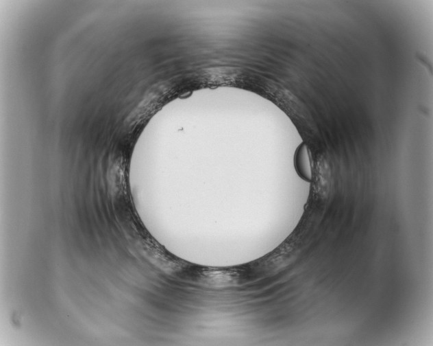 X0000102510522200808291737