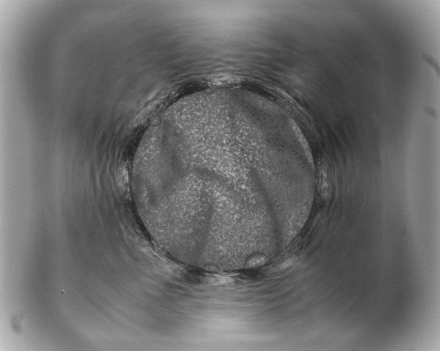 X0000102510523200808291737
