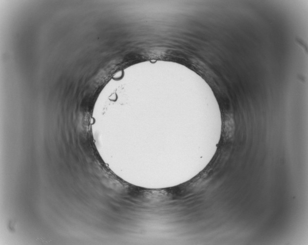 X0000102510525200808291737