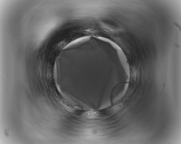 X0000102510526200808291737