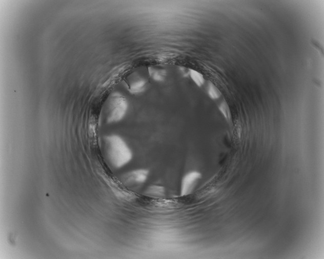 X0000102510527200808291737