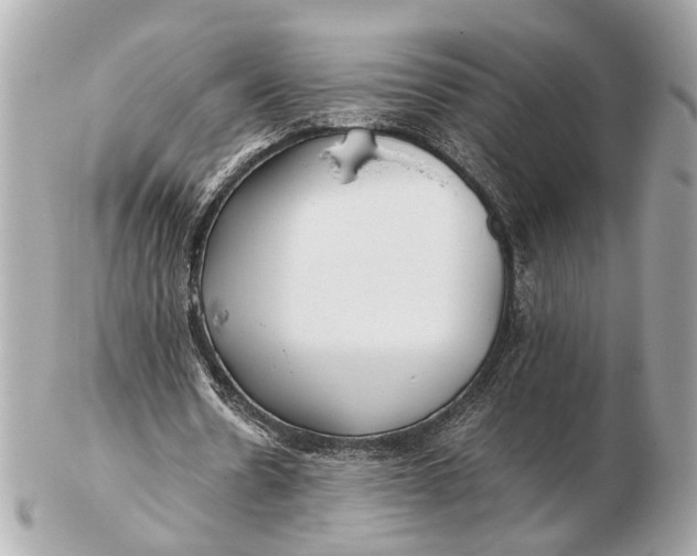 X0000102510530200808291736