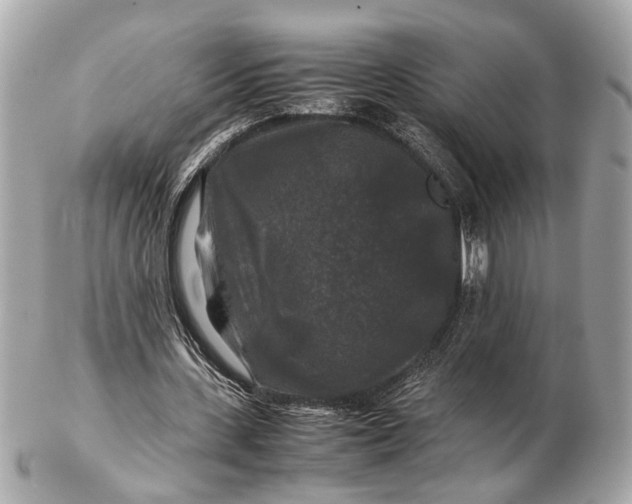 X0000102510531200808291736