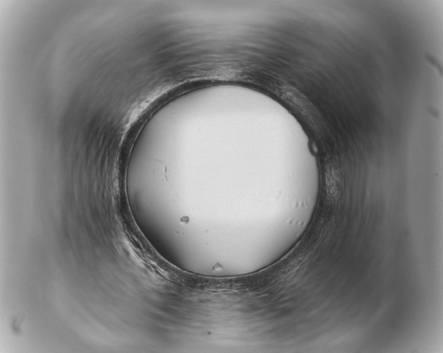 X0000102510532200808291736