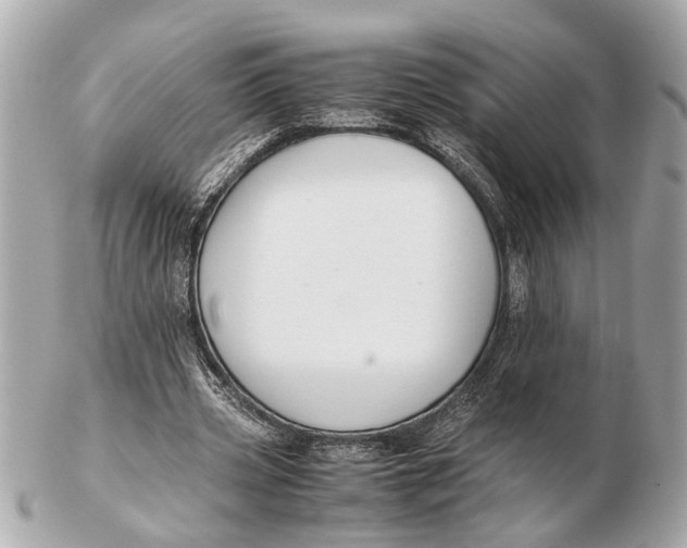 X0000102510533200808291736