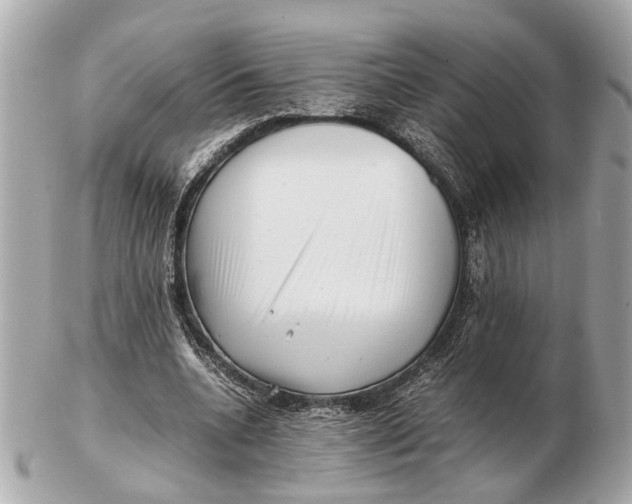 X0000102510536200808291736