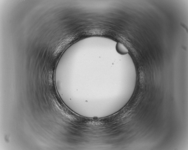 X0000102510537200808291736