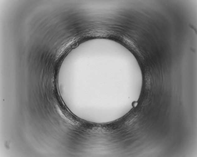 X0000102510538200808291736