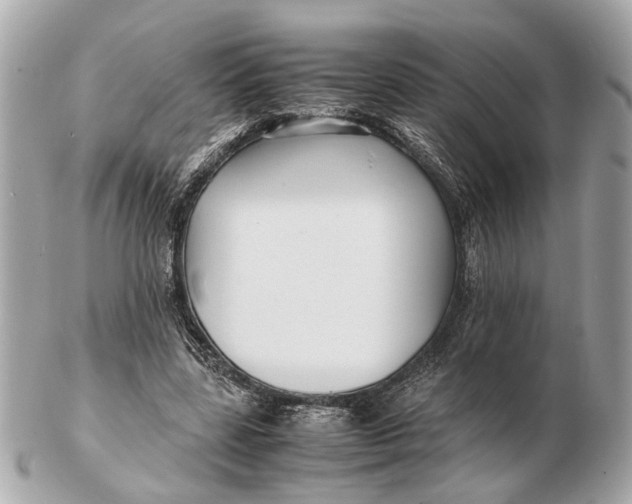 X0000102510539200808291736