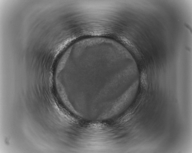 X0000102510540200808291736