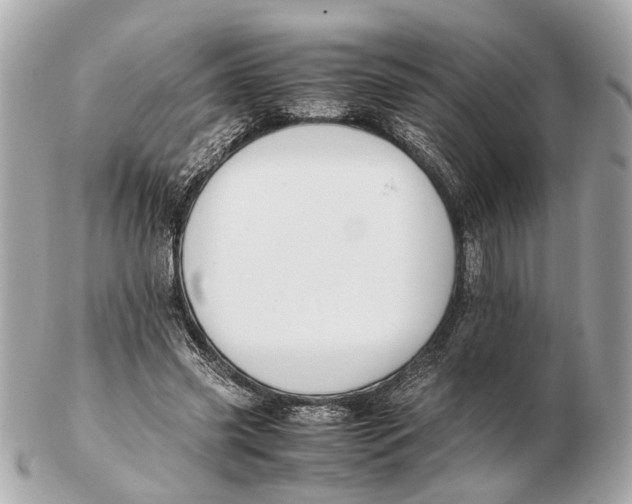 X0000102510541200808291736