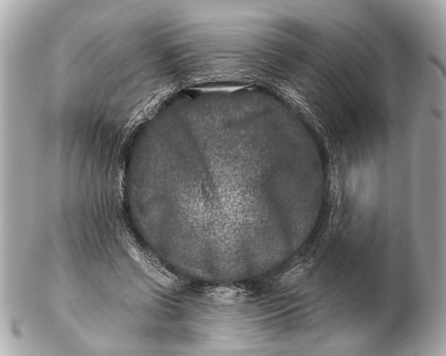 X0000102510542200808291736