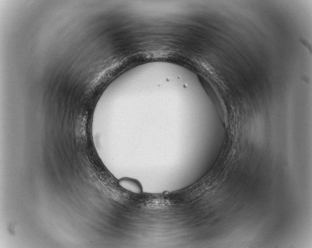 X0000102510543200808291736