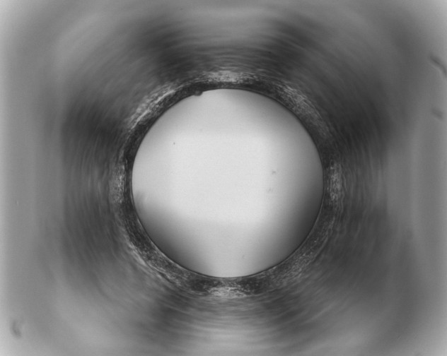X0000102510544200808291736