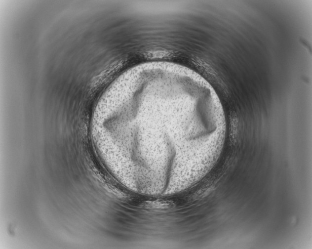 X0000102510545200808291736