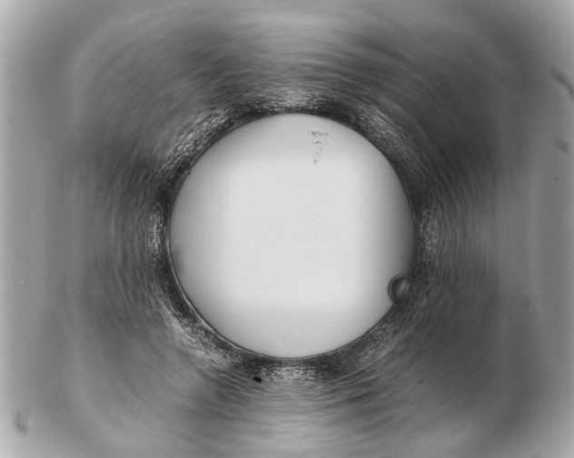 X0000102510546200808291736