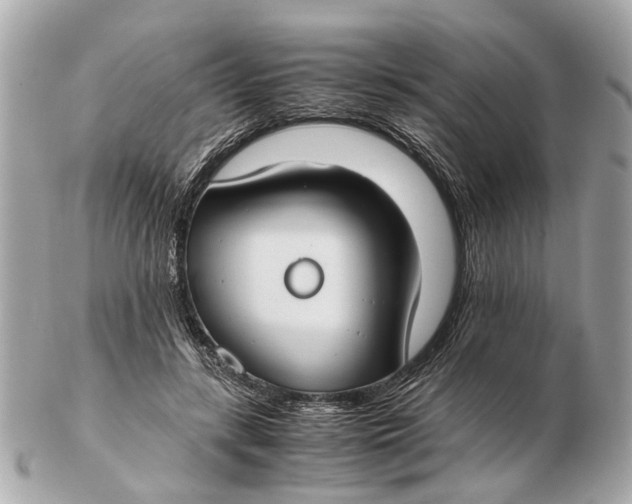 X0000102510547200808291736