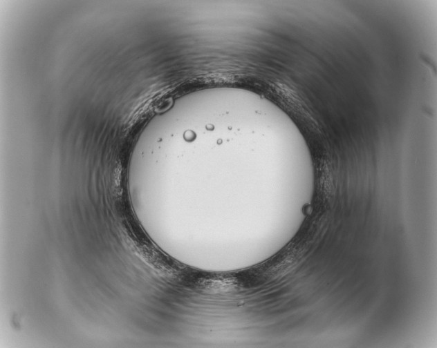 X0000102510548200808291736