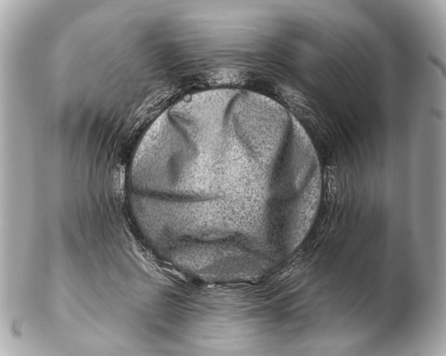 X0000102510550200808291736