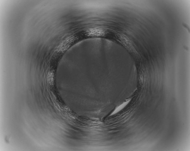 X0000102510551200808291736