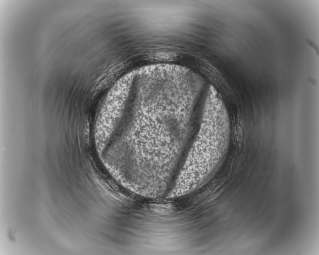 X0000102510552200808291736