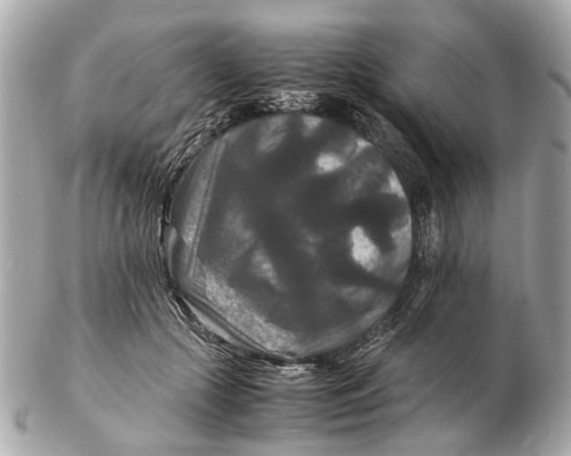 X0000102510553200808291736