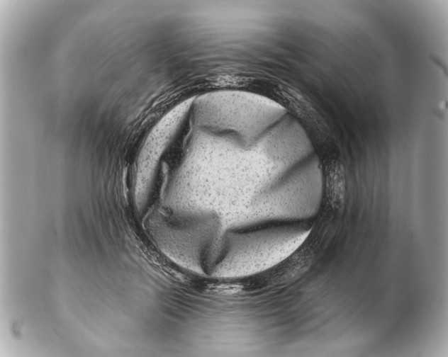 X0000102510554200808291736