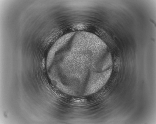 X0000102510555200808291736