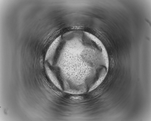 X0000102510557200808291736