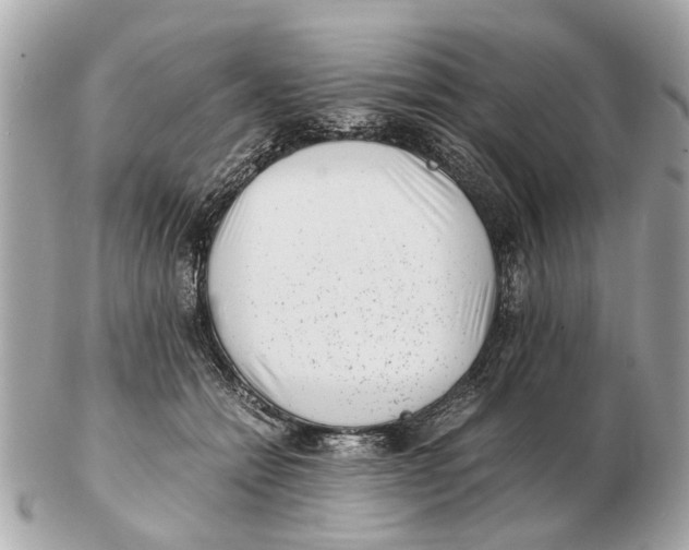 X0000102510558200808291736