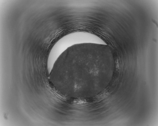X0000102510559200808291736