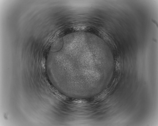 X0000102510561200808291736