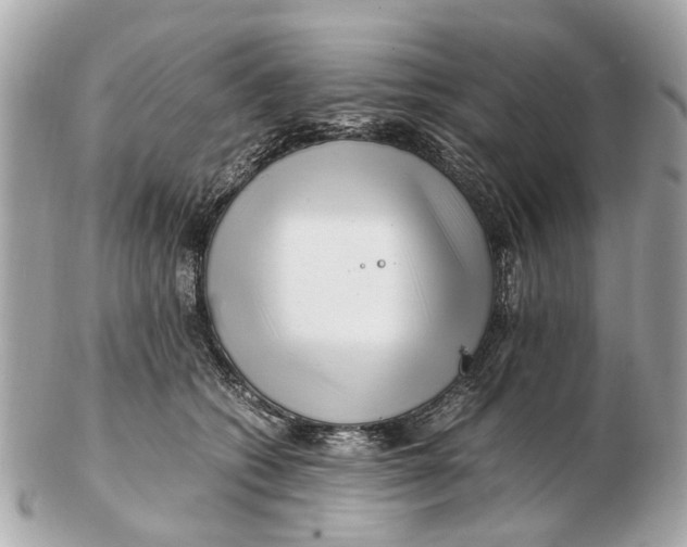 X0000102510562200808291736