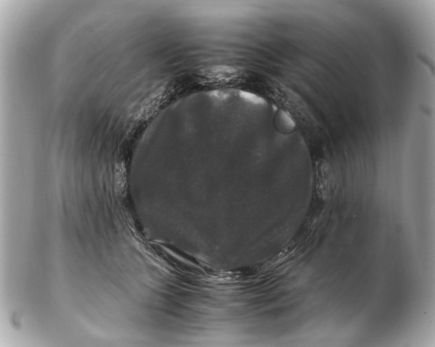 X0000102510563200808291736