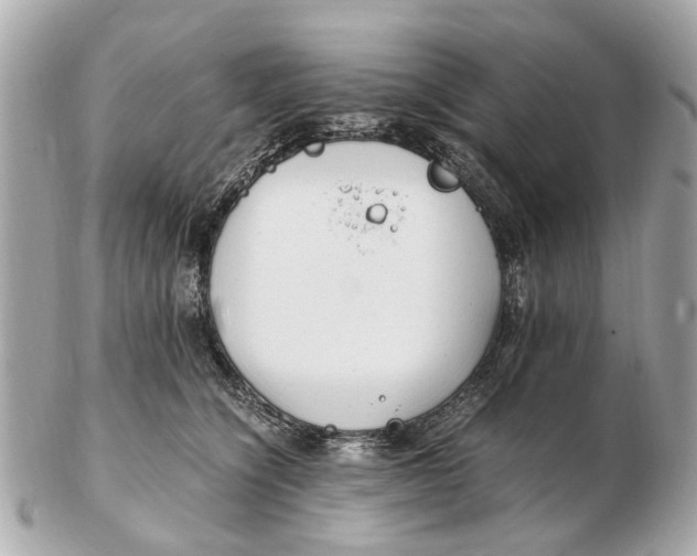 X0000102510564200808291736
