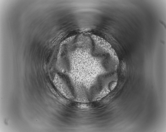 X0000102510565200808291736