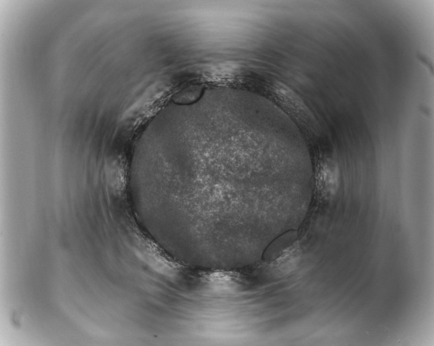 X0000102510566200808291736