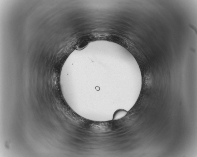 X0000102510567200808291736