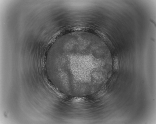 X0000102510569200808291736
