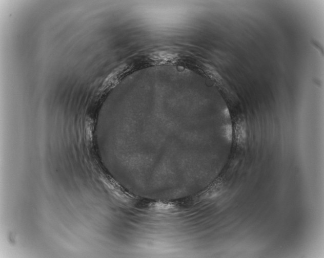 X0000102510570200808291736
