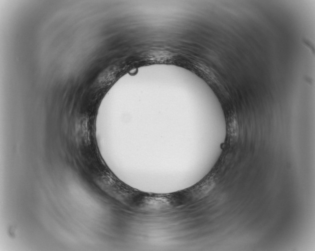 X0000102510572200808291736
