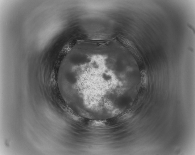 X0000102510573200808291736