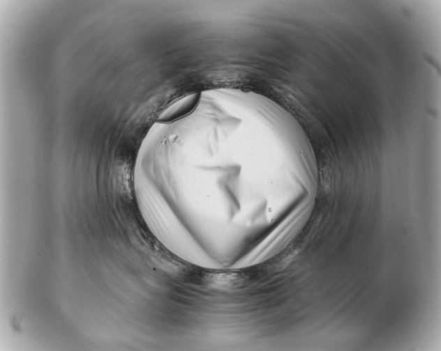 X0000102510575200808291736