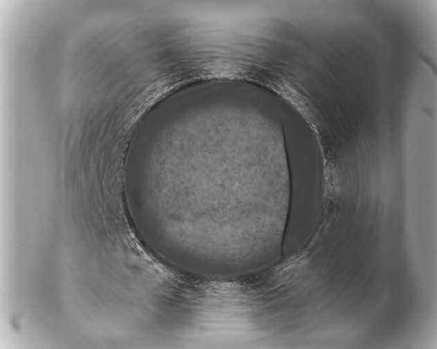 X0000102510577200808291736