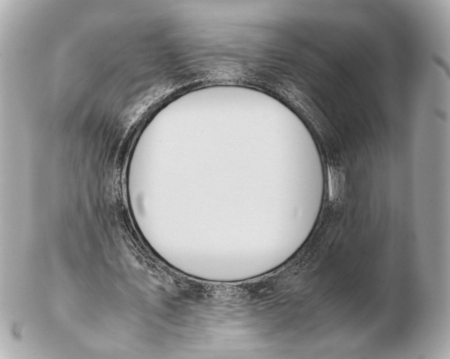 X0000102510579200808291736